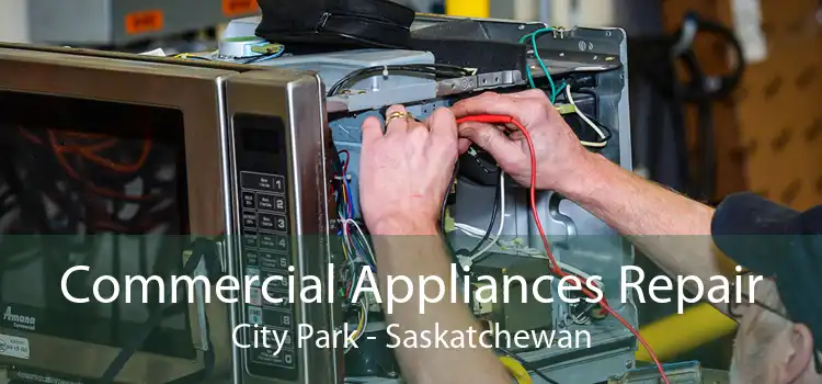 Commercial Appliances Repair City Park - Saskatchewan