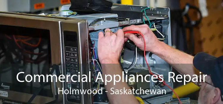 Commercial Appliances Repair Holmwood - Saskatchewan