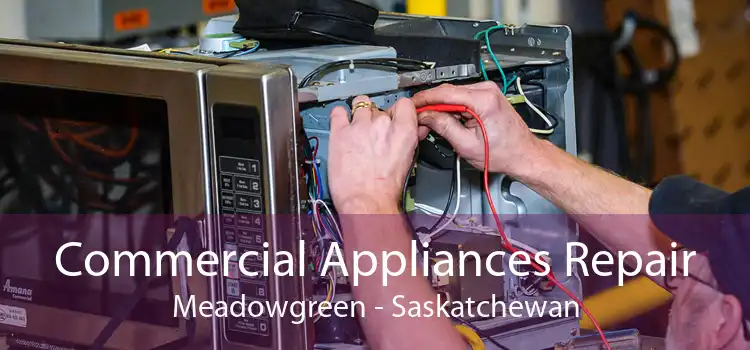 Commercial Appliances Repair Meadowgreen - Saskatchewan