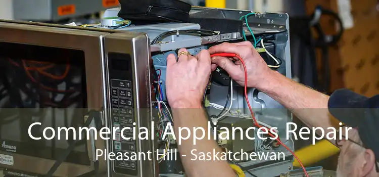 Commercial Appliances Repair Pleasant Hill - Saskatchewan