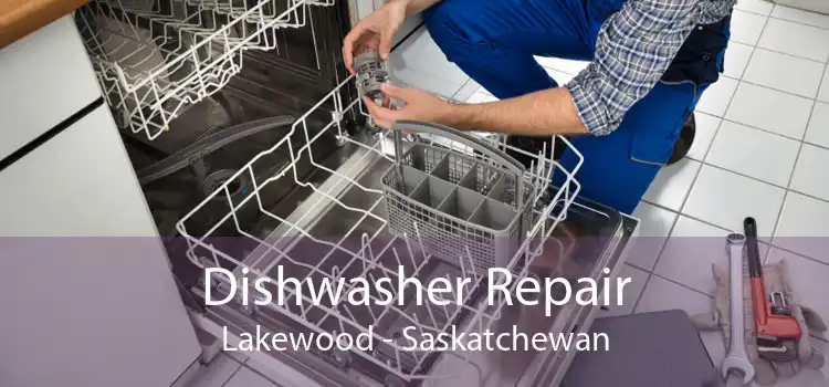 Dishwasher Repair Lakewood - Saskatchewan