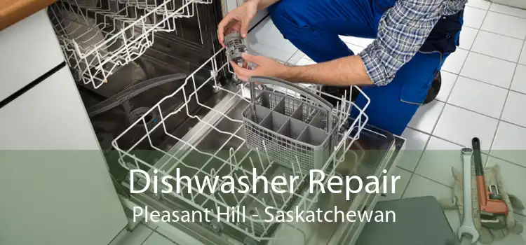 Dishwasher Repair Pleasant Hill - Saskatchewan