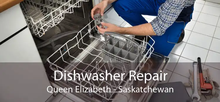 Dishwasher Repair Queen Elizabeth - Saskatchewan