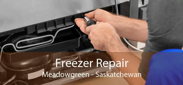 Freezer Repair Meadowgreen - Saskatchewan