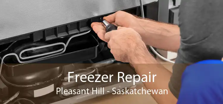 Freezer Repair Pleasant Hill - Saskatchewan
