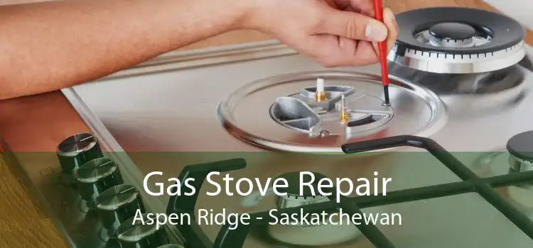 Gas Stove Repair Aspen Ridge - Saskatchewan