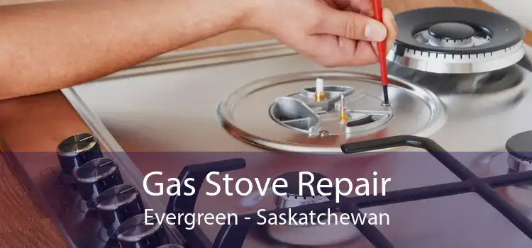Gas Stove Repair Evergreen - Saskatchewan