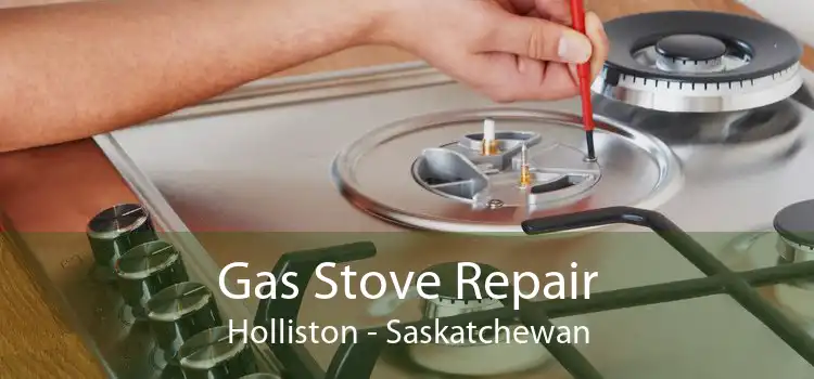 Gas Stove Repair Holliston - Saskatchewan
