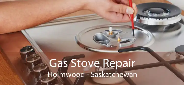 Gas Stove Repair Holmwood - Saskatchewan