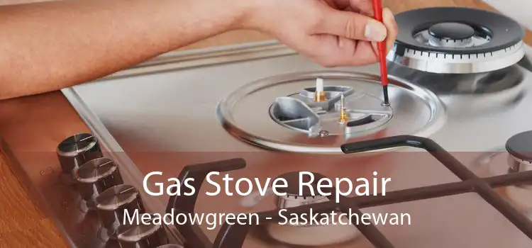 Gas Stove Repair Meadowgreen - Saskatchewan