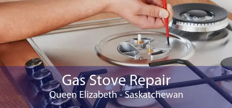 Gas Stove Repair Queen Elizabeth - Saskatchewan