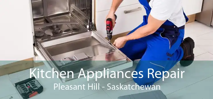 Kitchen Appliances Repair Pleasant Hill - Saskatchewan
