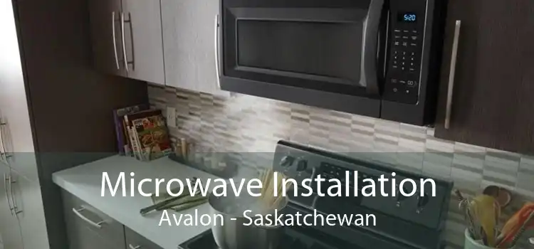 Microwave Installation Avalon - Saskatchewan