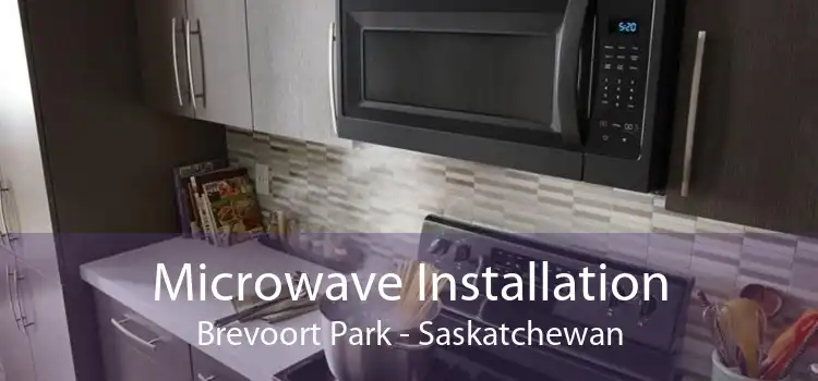 Microwave Installation Brevoort Park - Saskatchewan