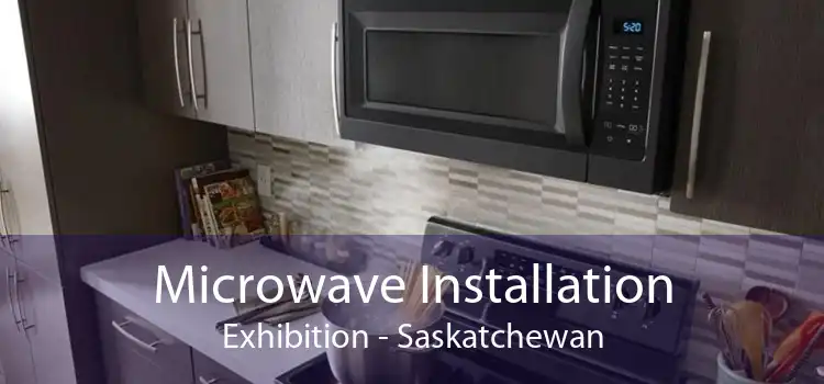 Microwave Installation Exhibition - Saskatchewan