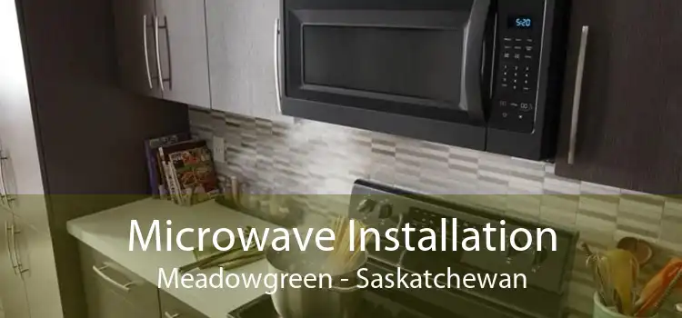 Microwave Installation Meadowgreen - Saskatchewan