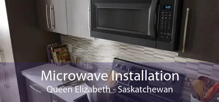 Microwave Installation Queen Elizabeth - Saskatchewan