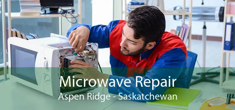Microwave Repair Aspen Ridge - Saskatchewan