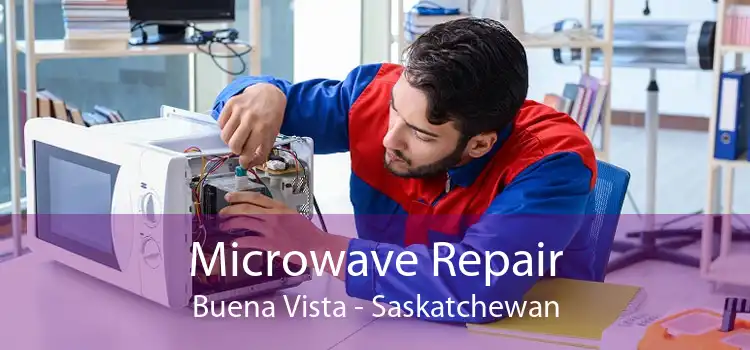 Microwave Repair Buena Vista - Saskatchewan