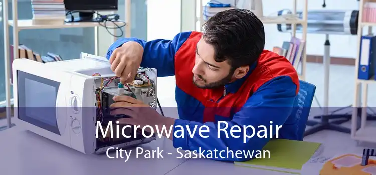 Microwave Repair City Park - Saskatchewan