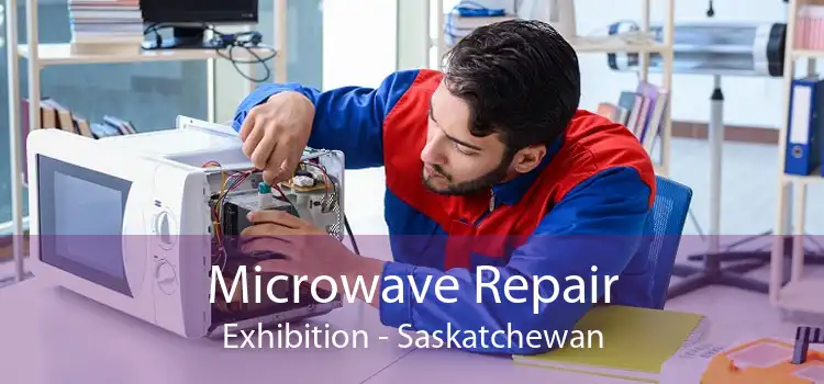 Microwave Repair Exhibition - Saskatchewan