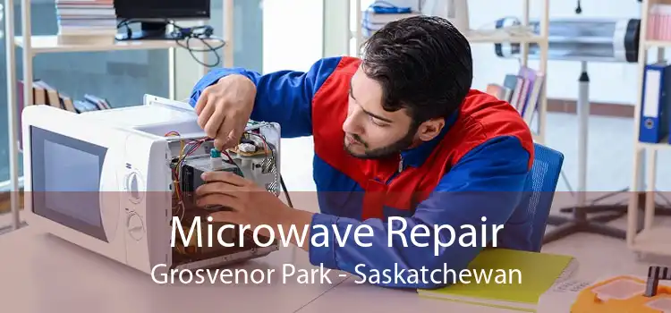 Microwave Repair Grosvenor Park - Saskatchewan
