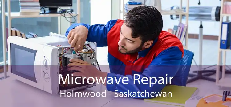 Microwave Repair Holmwood - Saskatchewan