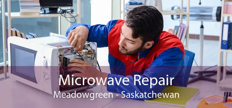 Microwave Repair Meadowgreen - Saskatchewan