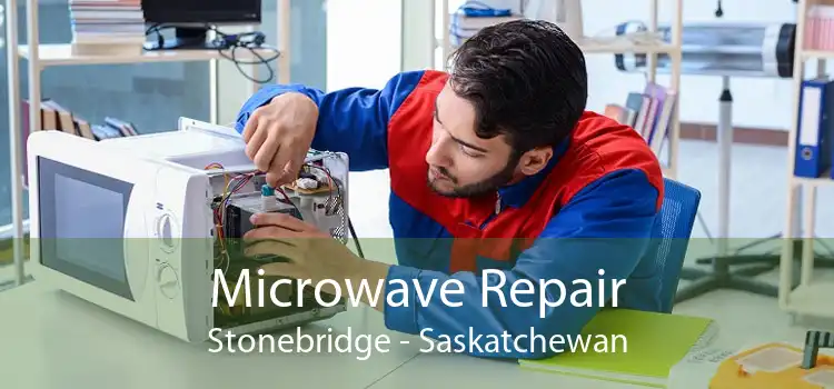 Microwave Repair Stonebridge - Saskatchewan