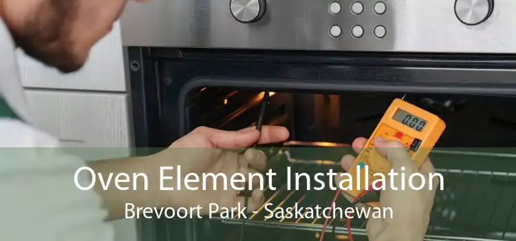 Oven Element Installation Brevoort Park - Saskatchewan