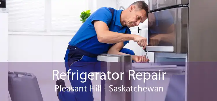Refrigerator Repair Pleasant Hill - Saskatchewan