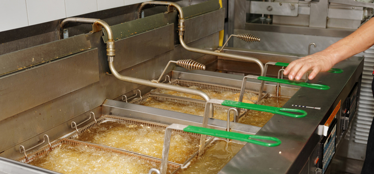 Anova Commercial Fryer Repair in Saskatoon