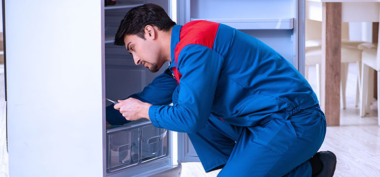 Anova Freezer Repair Services in Saskatoon